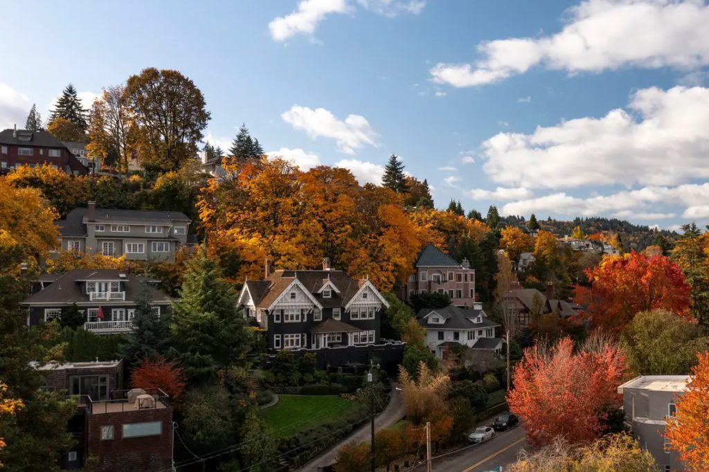 Portland